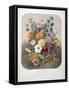 A Bouquet Of Flowers-Elisa Champin-Framed Stretched Canvas