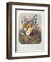 A Bouquet Of Flowers-Elisa Champin-Framed Giclee Print