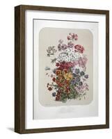 A Bouquet Of Flowers-Elisa Champin-Framed Giclee Print