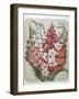 A Bouquet Of Flowers-Elisa Champin-Framed Giclee Print