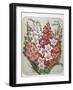 A Bouquet Of Flowers-Elisa Champin-Framed Giclee Print