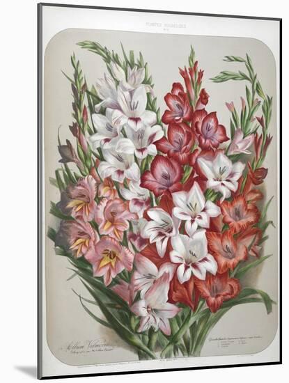 A Bouquet Of Flowers-Elisa Champin-Mounted Giclee Print