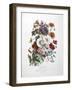 A Bouquet Of Flowers-Elisa Champin-Framed Giclee Print