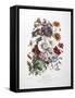 A Bouquet Of Flowers-Elisa Champin-Framed Stretched Canvas