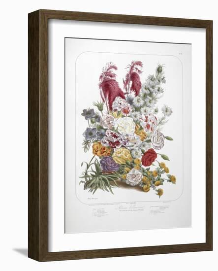 A Bouquet Of Flowers-Elisa Champin-Framed Giclee Print