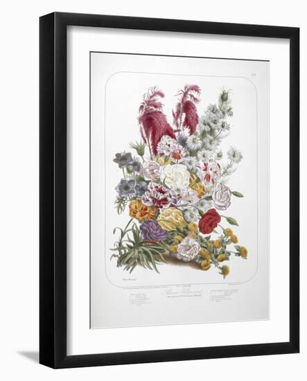 A Bouquet Of Flowers-Elisa Champin-Framed Giclee Print