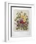 A Bouquet Of Flowers-Elisa Champin-Framed Giclee Print