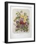 A Bouquet Of Flowers-Elisa Champin-Framed Giclee Print