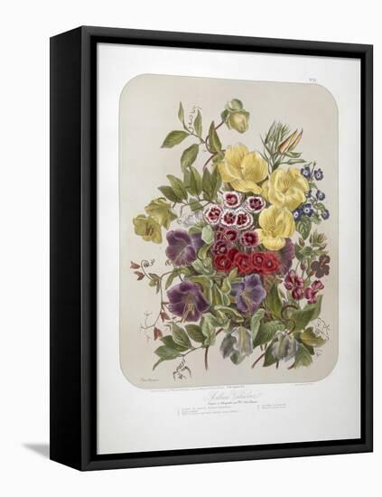 A Bouquet Of Flowers-Elisa Champin-Framed Stretched Canvas