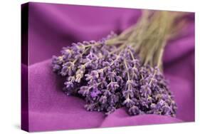 A Bouquet of Lavender Flowers on a Purple Canvas-Joe Petersburger-Stretched Canvas