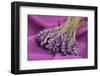 A Bouquet of Lavender Flowers on a Purple Canvas-Joe Petersburger-Framed Photographic Print