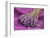 A Bouquet of Lavender Flowers on a Purple Canvas-Joe Petersburger-Framed Photographic Print