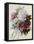 A Bouquet of Red, Pink and White Peonies-Pierre-Joseph Redouté-Framed Stretched Canvas