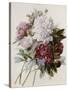 A Bouquet of Red, Pink and White Peonies-Pierre-Joseph Redouté-Stretched Canvas