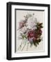 A Bouquet of Red, Pink and White Peonies-Pierre-Joseph Redouté-Framed Premium Giclee Print