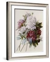 A Bouquet of Red, Pink and White Peonies-Pierre-Joseph Redouté-Framed Giclee Print