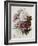 A Bouquet of Red, Pink and White Peonies-Pierre-Joseph Redouté-Framed Giclee Print