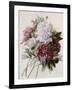 A Bouquet of Red, Pink and White Peonies-Pierre-Joseph Redouté-Framed Giclee Print