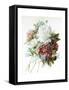 A Bouquet of Red, Pink and White Peonies-Pierre-Joseph Redouté-Framed Stretched Canvas