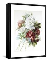 A Bouquet of Red, Pink and White Peonies-Pierre-Joseph Redouté-Framed Stretched Canvas