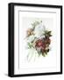 A Bouquet of Red, Pink and White Peonies-Pierre-Joseph Redouté-Framed Giclee Print