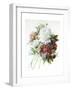 A Bouquet of Red, Pink and White Peonies-Pierre-Joseph Redouté-Framed Giclee Print