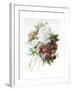 A Bouquet of Red, Pink and White Peonies-Pierre-Joseph Redouté-Framed Giclee Print