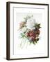 A Bouquet of Red, Pink and White Peonies-Pierre-Joseph Redouté-Framed Giclee Print