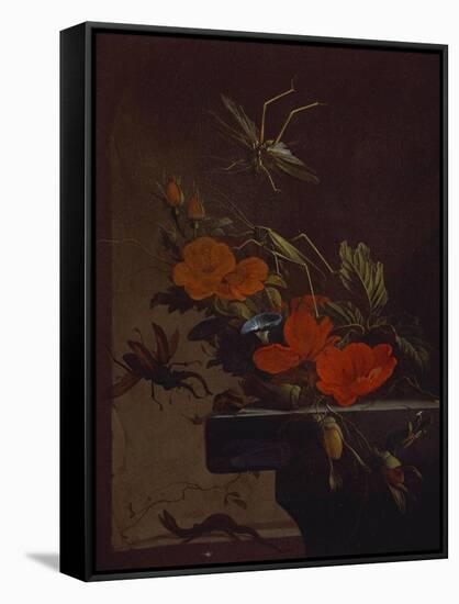 A Bouquet of Roses,  Morning Glory and Hazelnuts on a Ledge, with Grasshoppers, a Stag Beetle and…-Elias Van Den Broeck-Framed Stretched Canvas