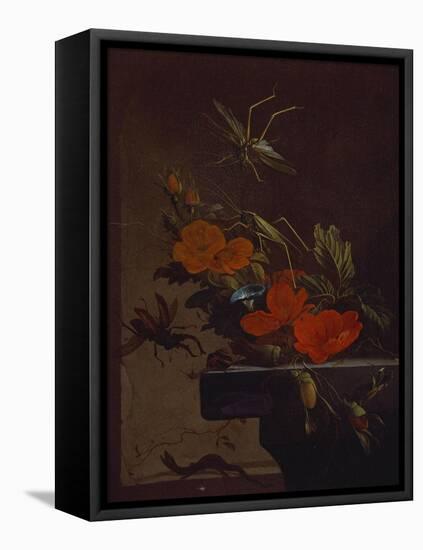 A Bouquet of Roses,  Morning Glory and Hazelnuts on a Ledge, with Grasshoppers, a Stag Beetle and…-Elias Van Den Broeck-Framed Stretched Canvas