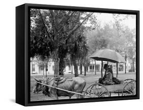 A Bovinmobile, Savannah, Ga.-null-Framed Stretched Canvas