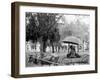 A Bovinmobile, Savannah, Ga.-null-Framed Photo