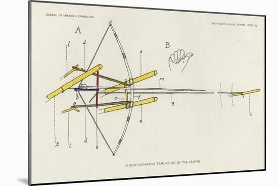 A Bow-And-Arrow Trap, as Set by the Arawak-null-Mounted Giclee Print