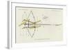 A Bow-And-Arrow Trap, as Set by the Arawak-null-Framed Giclee Print