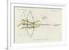 A Bow-And-Arrow Trap, as Set by the Arawak-null-Framed Giclee Print