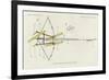 A Bow-And-Arrow Trap, as Set by the Arawak-null-Framed Giclee Print