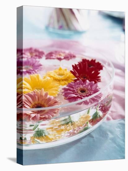 A Bowl of Flowers Floating in Water (Table Decoration)-Alexander Van Berge-Stretched Canvas