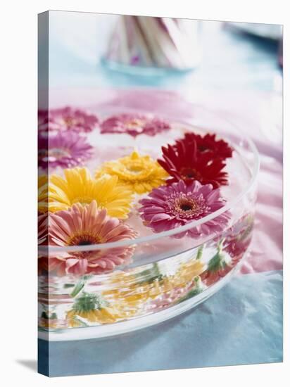 A Bowl of Flowers Floating in Water (Table Decoration)-Alexander Van Berge-Stretched Canvas