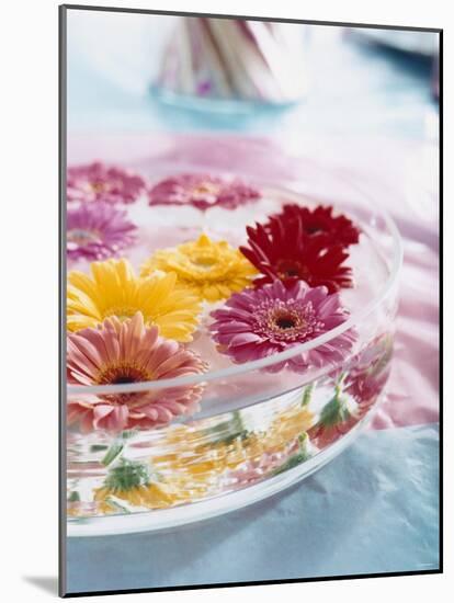 A Bowl of Flowers Floating in Water (Table Decoration)-Alexander Van Berge-Mounted Photographic Print