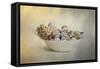 A Bowl of Holiday Bounty-Jai Johnson-Framed Stretched Canvas