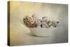 A Bowl of Holiday Bounty-Jai Johnson-Stretched Canvas