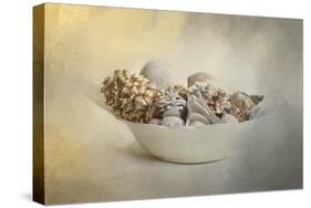 A Bowl of Holiday Bounty-Jai Johnson-Stretched Canvas