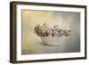 A Bowl of Holiday Bounty-Jai Johnson-Framed Giclee Print