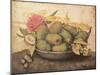 A Bowl of Pears-Giovanna Garzoni-Mounted Giclee Print