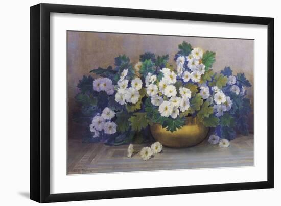 A Bowl of Primulas-Edith Barrow-Framed Giclee Print