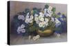 A Bowl of Primulas-Edith Barrow-Stretched Canvas