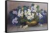 A Bowl of Primulas-Edith Barrow-Framed Stretched Canvas