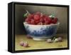 A Bowl of Raspberries-Willam B. Hough-Framed Stretched Canvas