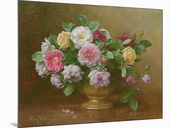 A Bowl of Roses-Albert Williams-Mounted Giclee Print