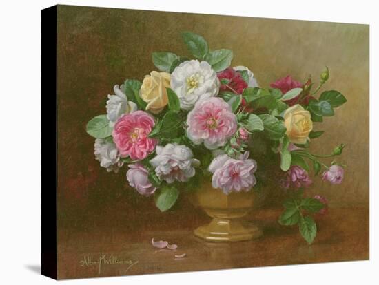 A Bowl of Roses-Albert Williams-Stretched Canvas